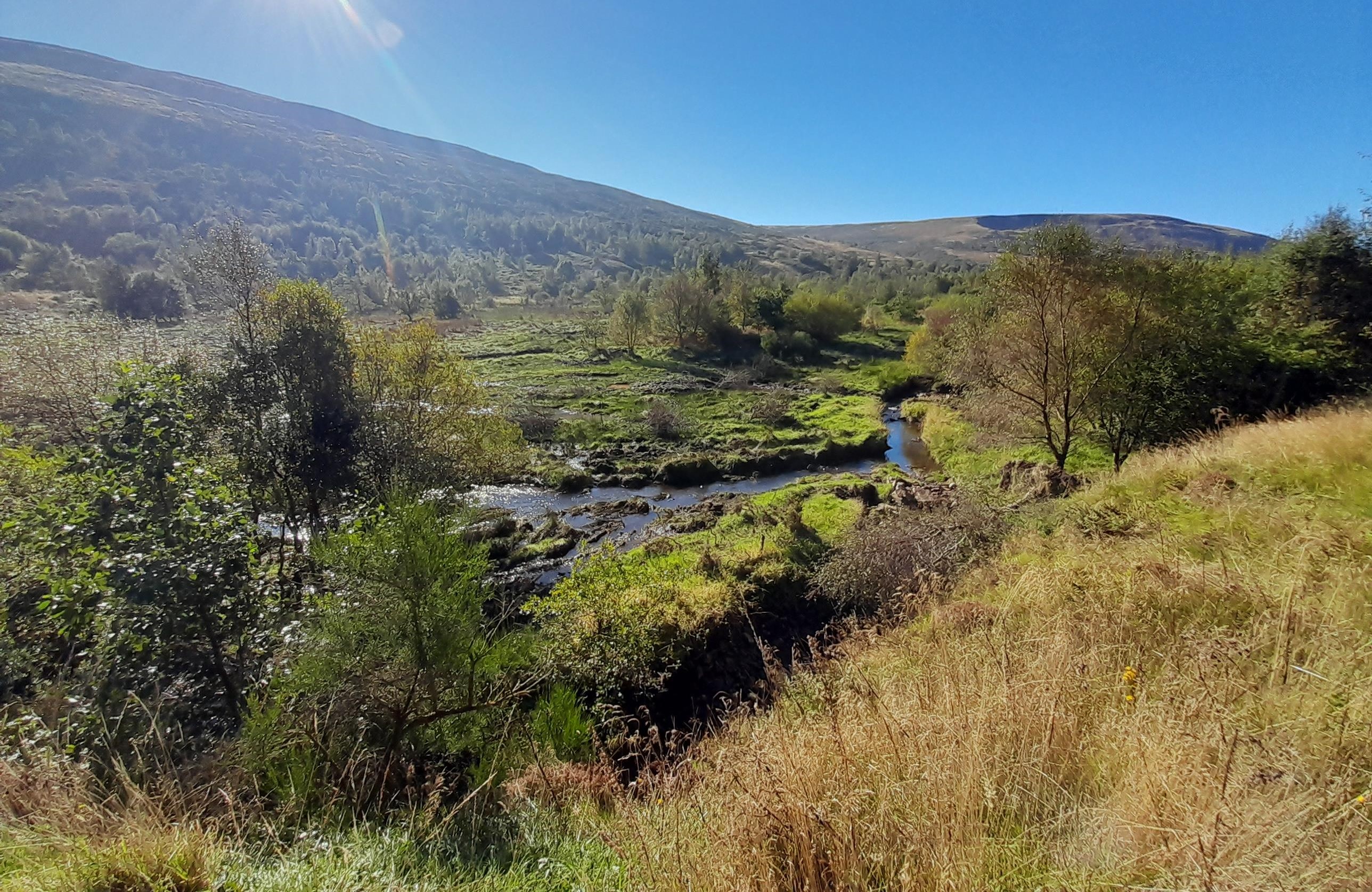 Image of Geltsdale wood pasture and new river restoration