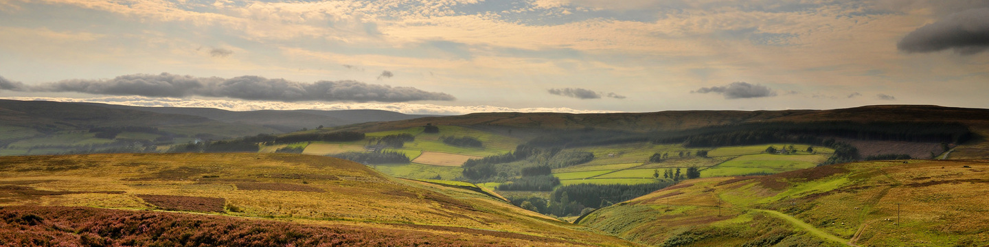 Visit County Durham image of moorlands, Durham