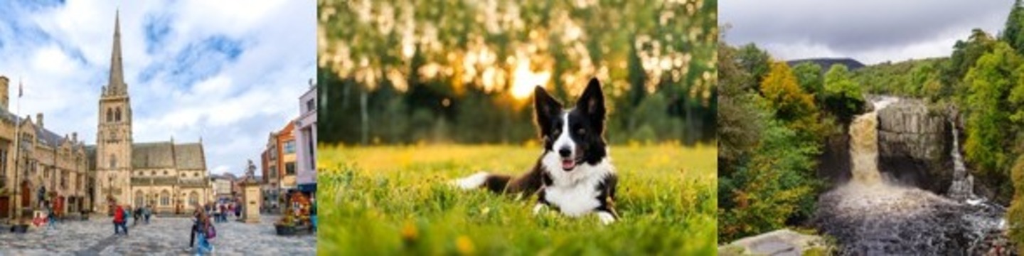 Images of Durham city, dogs and High Force