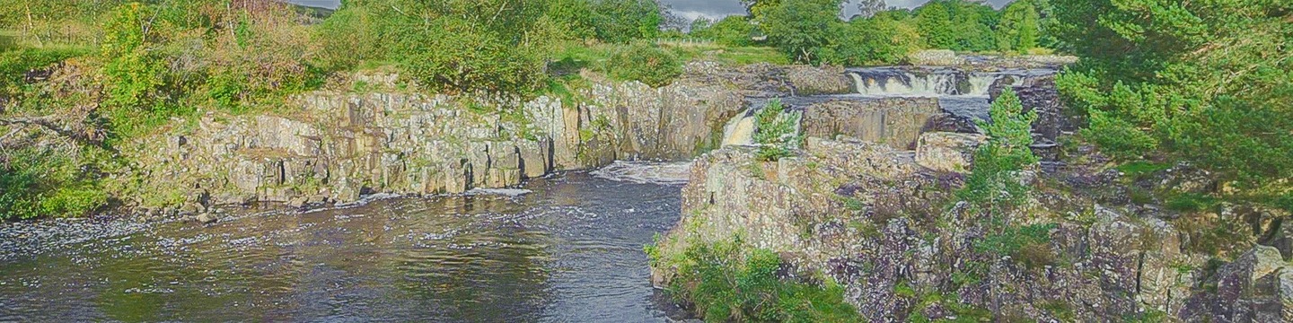 Image of Low Force