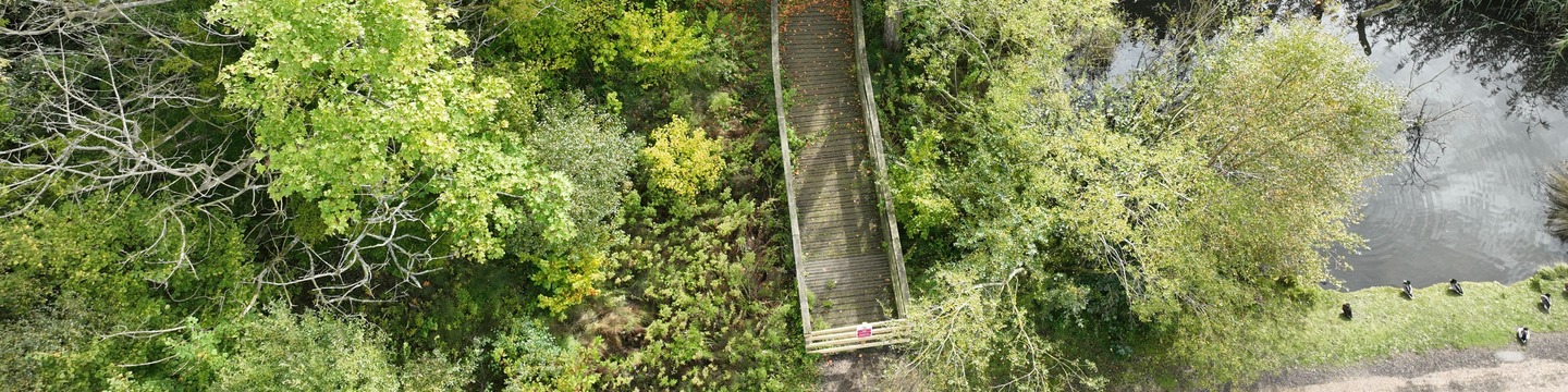 Aerial image showing trees, water and boardwalk