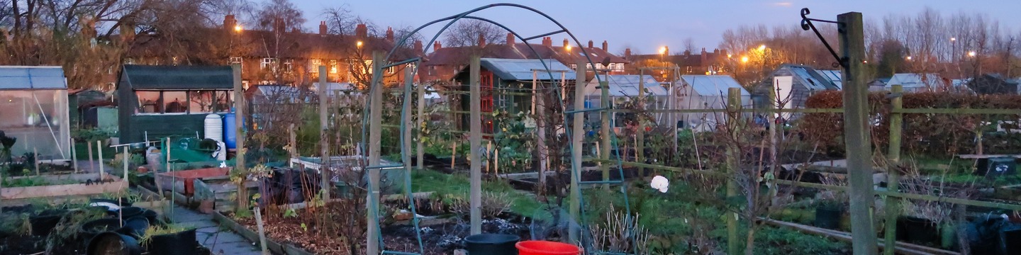 Allotment site
