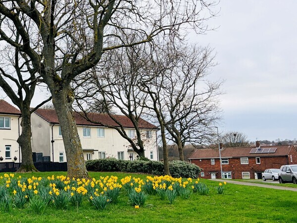 Image of housing in the area